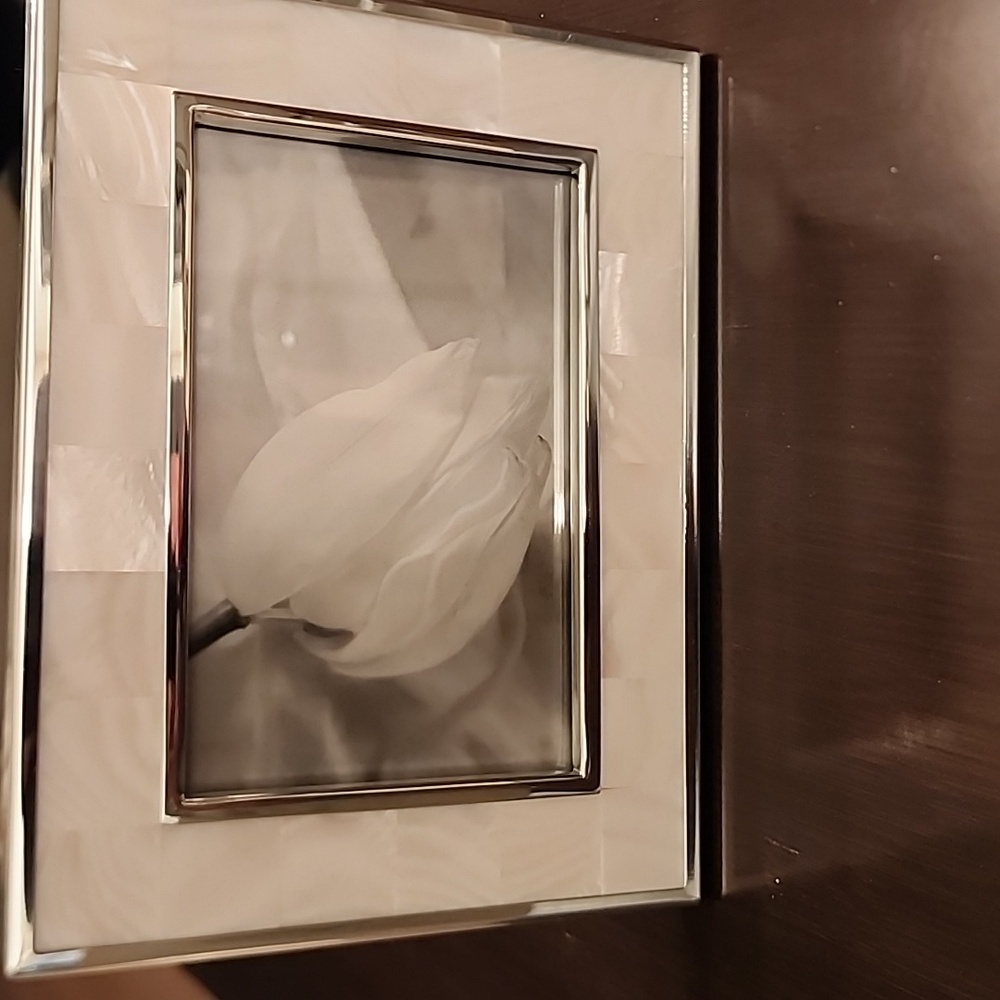 Restoration Hardware 4" x 6" Mother of Pearl Frame with White Accents New In Box